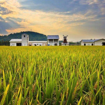 2023中國鄭州國際有機(jī)食品產(chǎn)業(yè)展覽